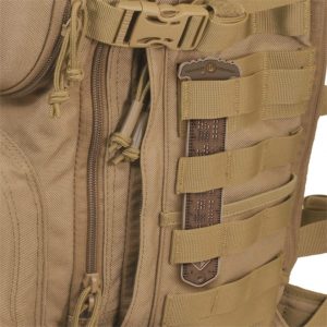 H4-PAT-CTSK1