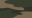 Multicam
