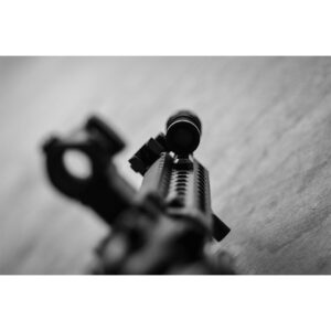 LB-300-FDE