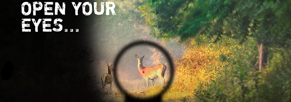 aimpoint
